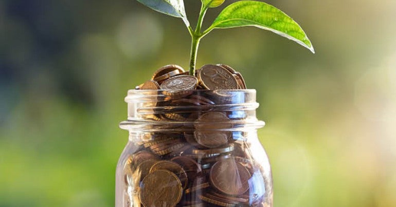money tree