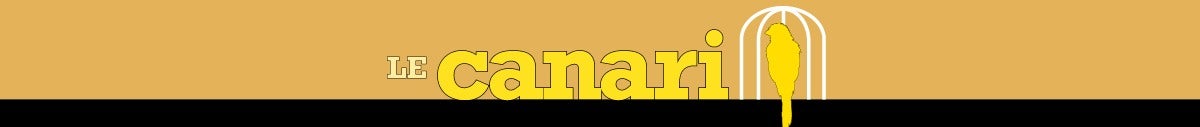 Cliquez pour retourner à la publication Le canari. Bannière Le canari