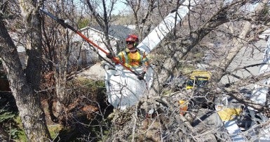 Un membre du SCFP 21 effectuant des travaux forestiers à Regina.