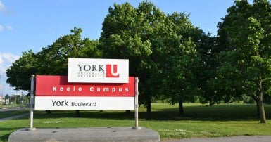 York University