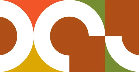 financial officers handbook