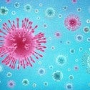 Concept 3D illustration of coronavirus. Getty Images
