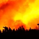 Images of wildfires