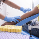 Pay for plasma: Canadian Blood Services must say no Pay for plasma: Canadian Blood Services must say no