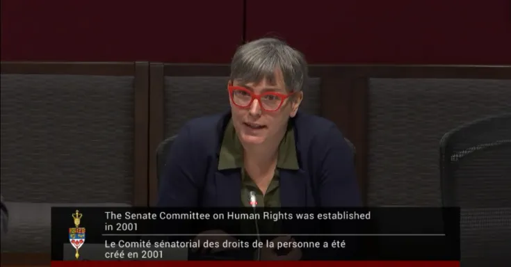 Sarah Rayan Senate AI