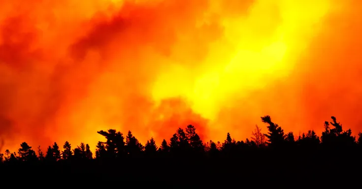 Wildfires