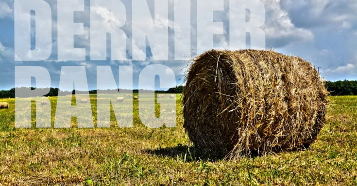 Les mots "dernier rang" avec une balle de foin