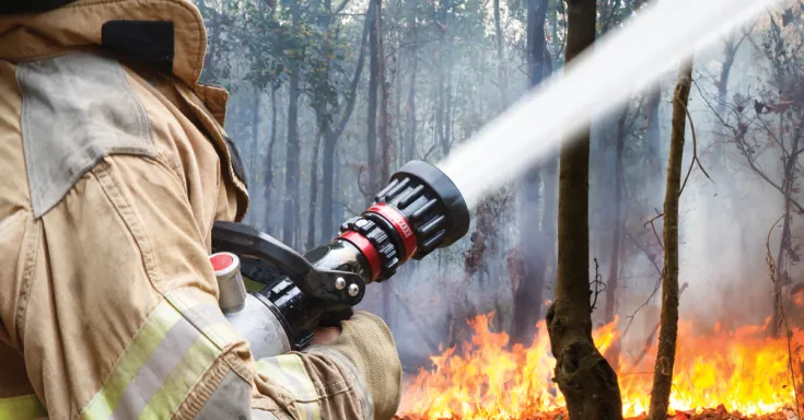 Firefighter putting out bush fire