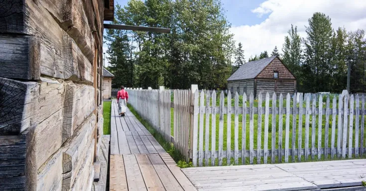 Photo by Kamal Hamid https://www.flickr.com/photos/evergreenkamal/28668168411