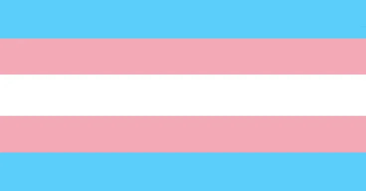 Five horizontal stripes, colours from the top are: pale blue, pink, white, pink, pale blue
