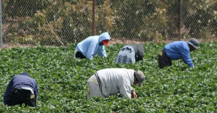Travailleurs agricoles