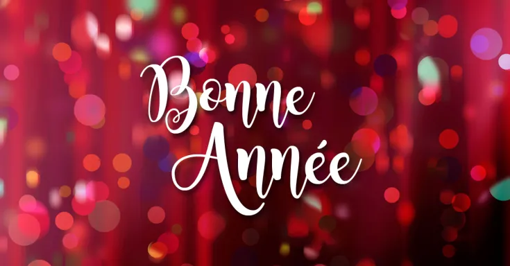 Bonne Année 2017
