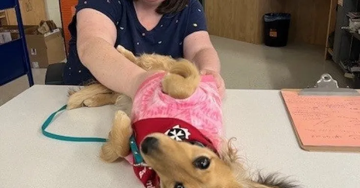 Woman sitting at a table petting a dog