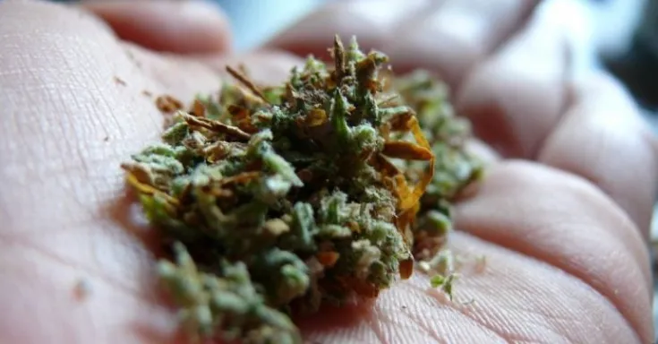 Photo Flickr / Valentina Solito