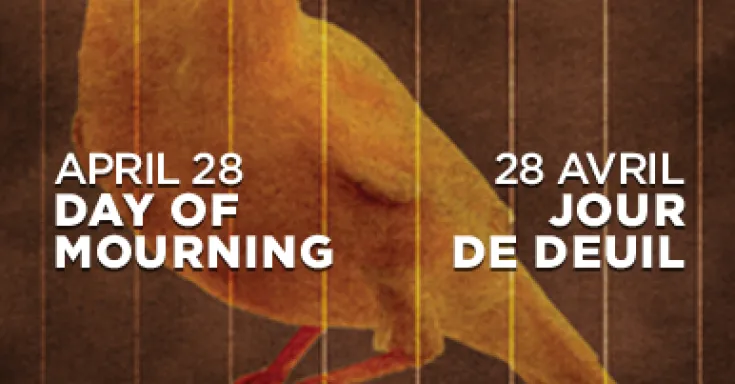 Yellow canary on a perch in a cage