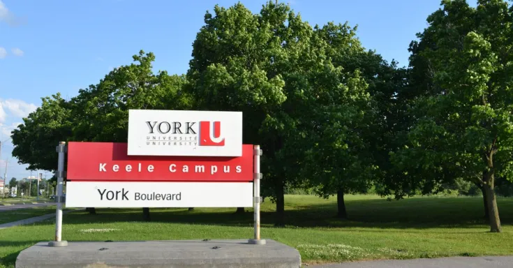 York University